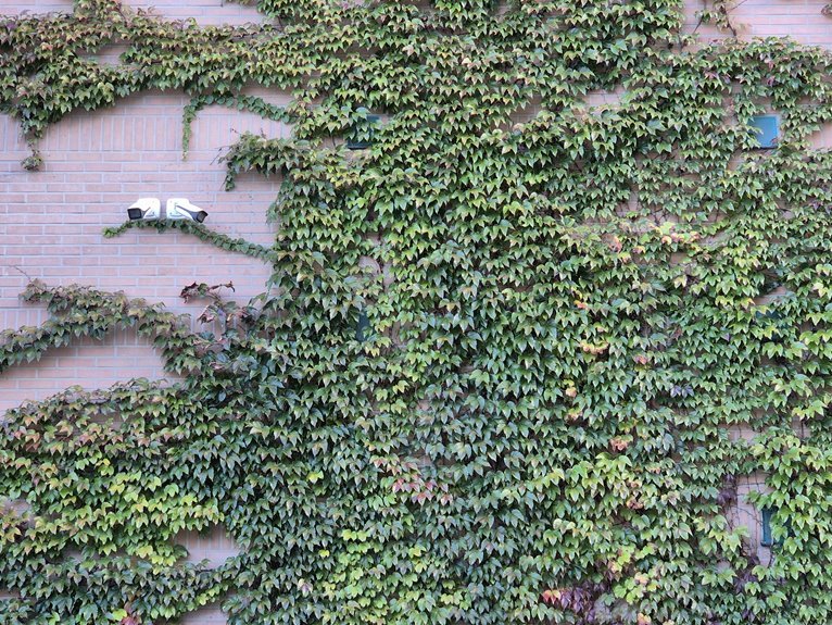 security evaluation taskforce numbers